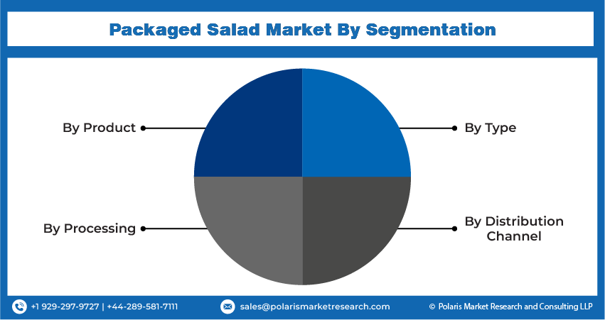 Packaged Salad Seg